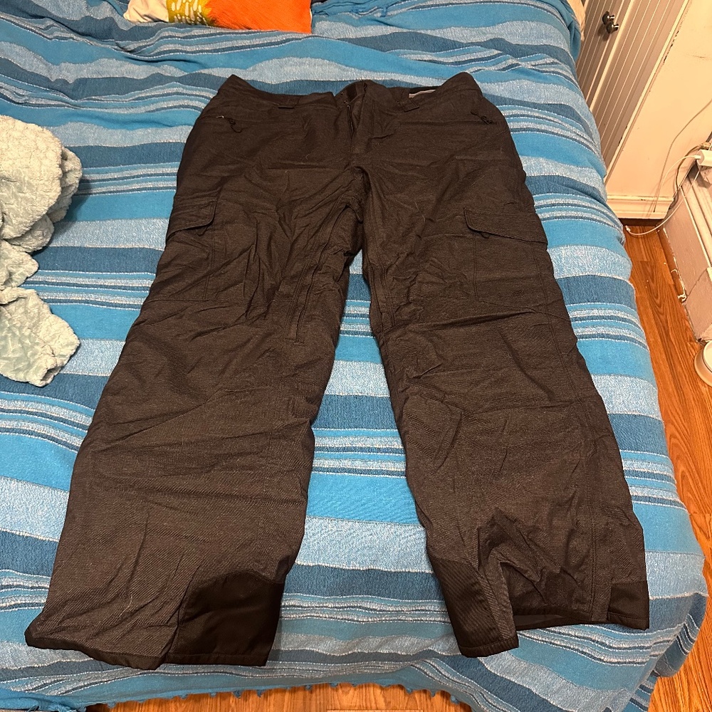 Womens XL Ski Pants Eastern Mountain Sports